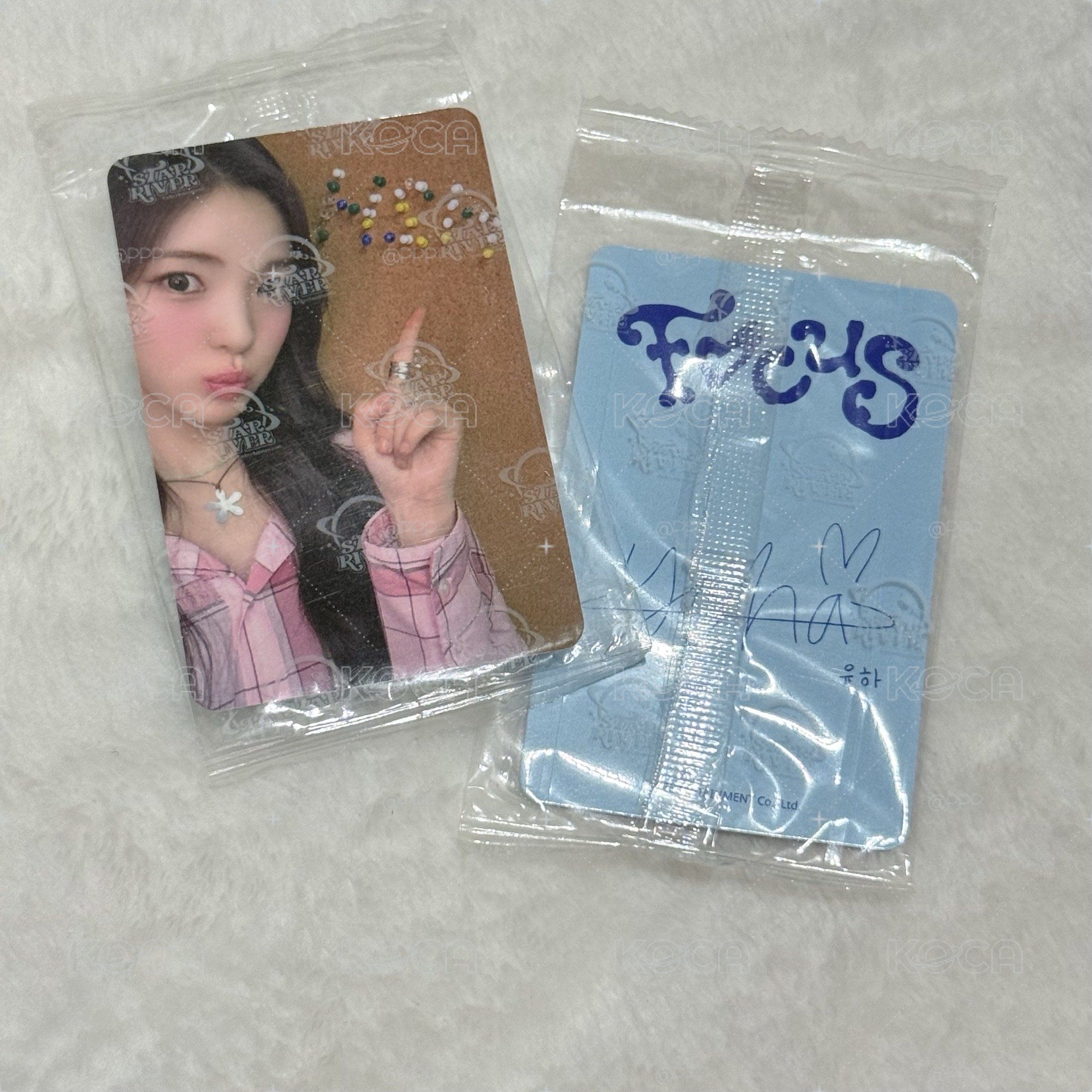 Focus sr上海線下3.0 yuha