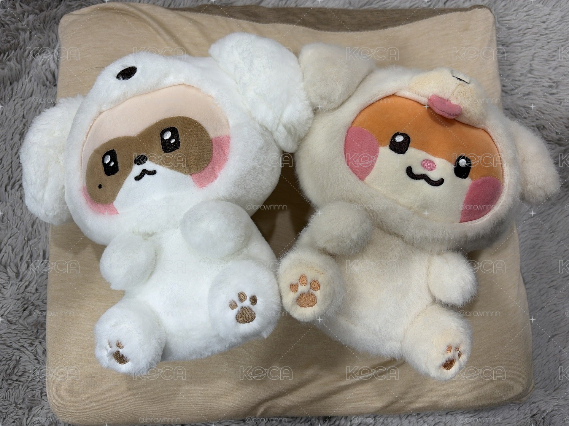 成韓彬&章昊動物娃 優先一起出