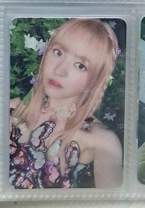 仲夏夜莉