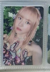 仲夏夜莉