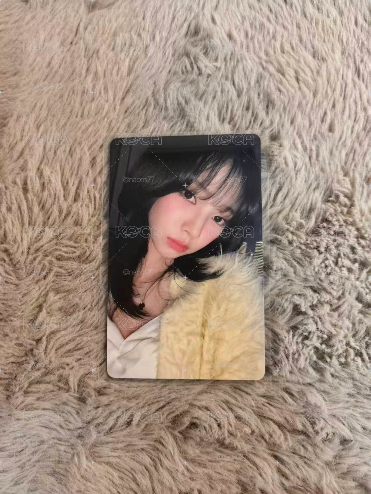 kms 上海中簽柚