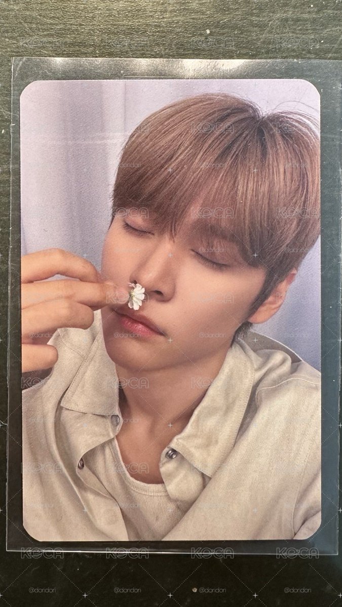 RIIZE The 2nd Mini Album “ll”+特典卡/簽售卡（Kaohsiung）