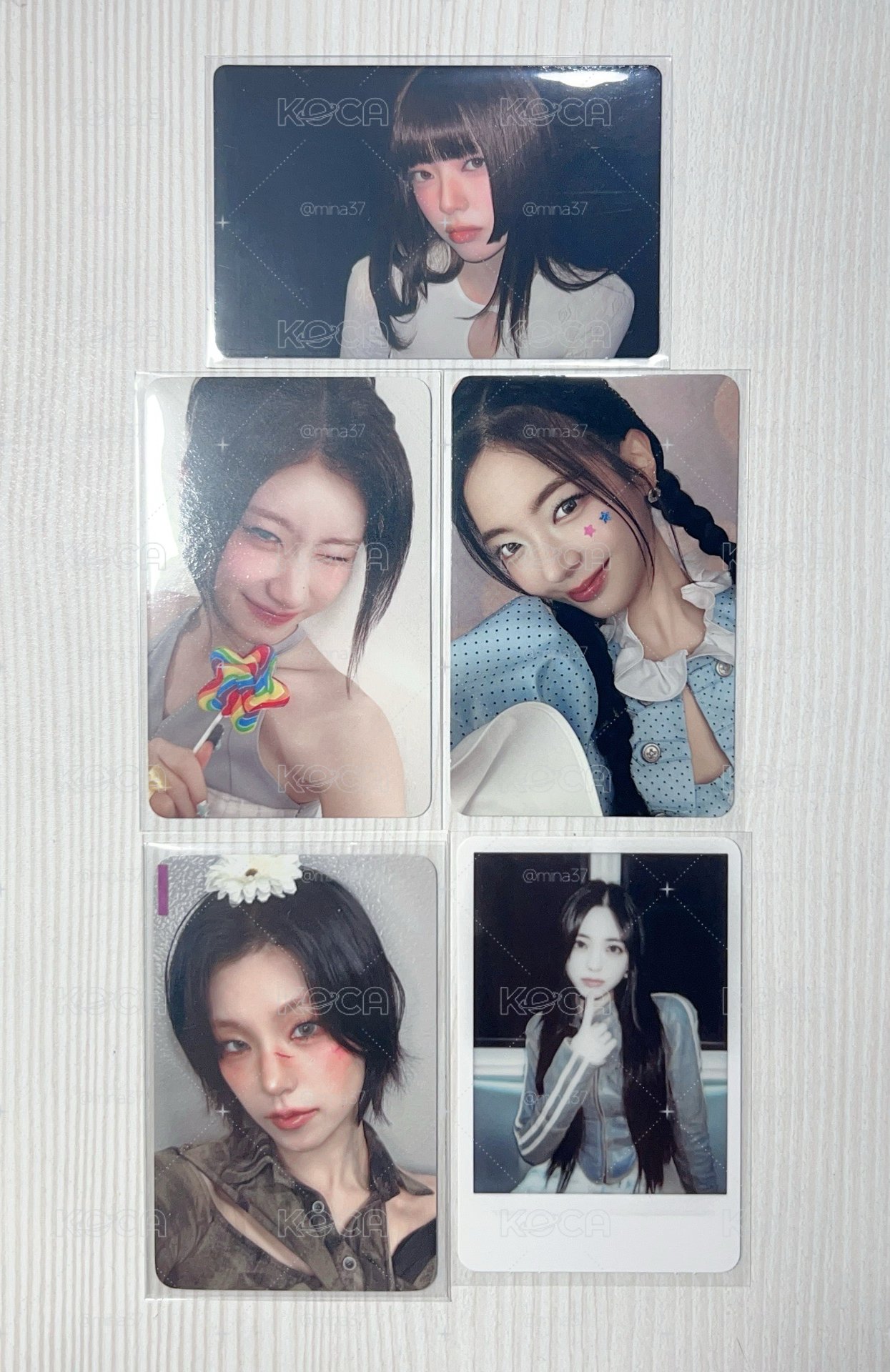 🖤🦥🦊🐰