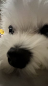 An