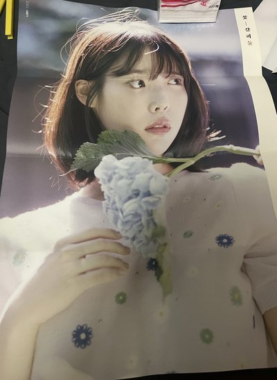 IU 李知恩 花書籤2 專輯海報 折疊