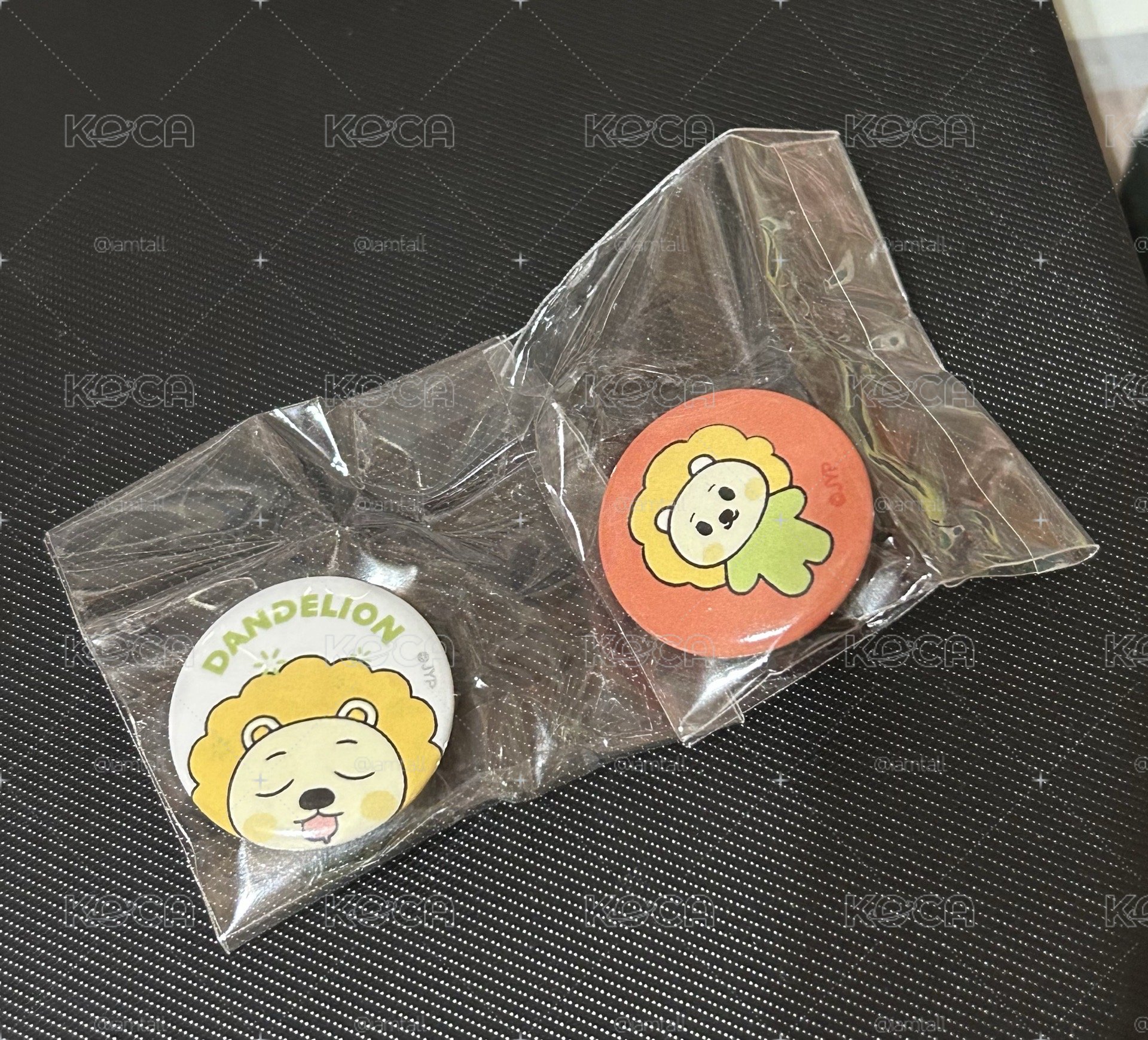 莉飯咪小徽章 一套