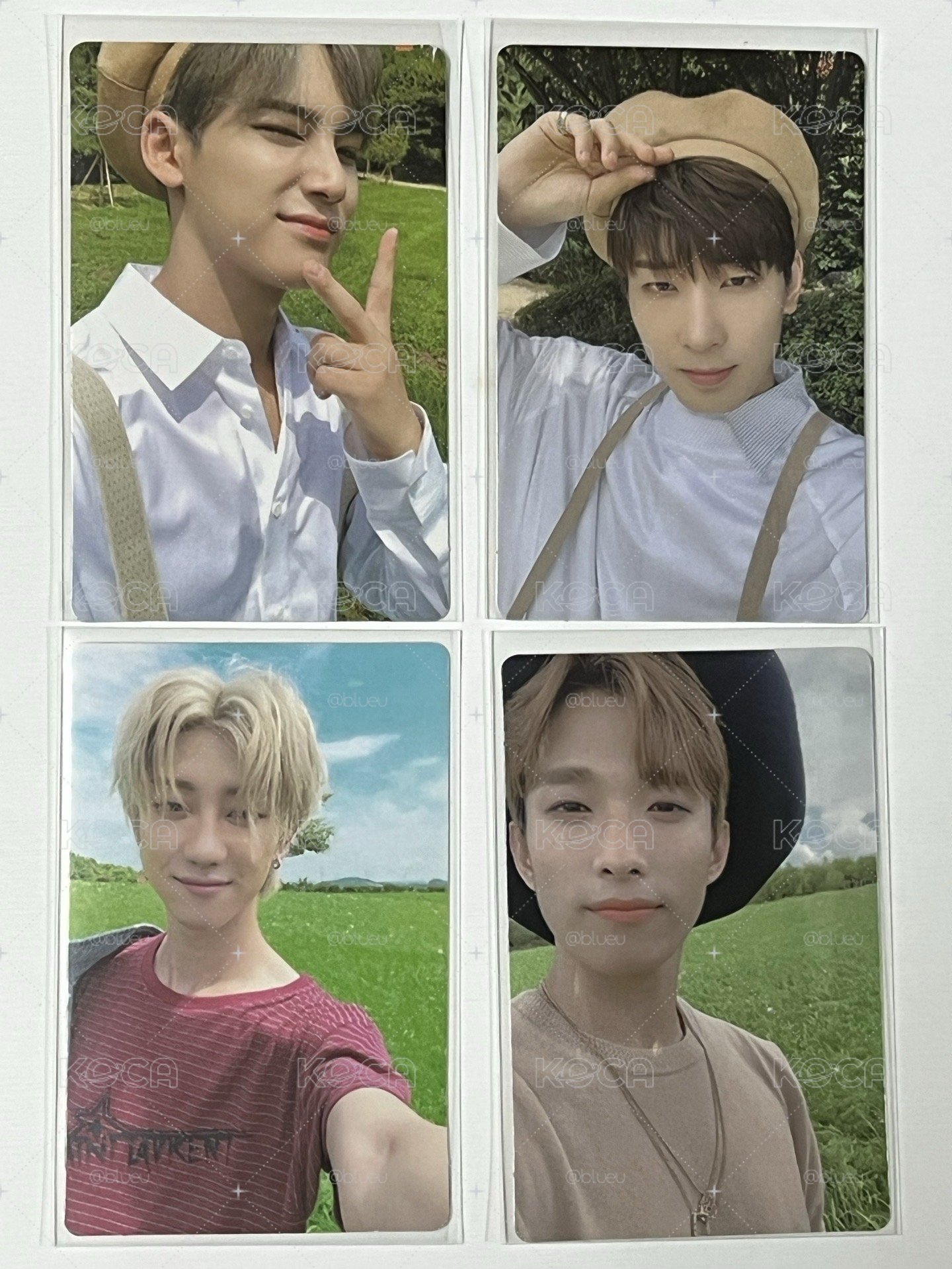 SVT 正規三 貝雷