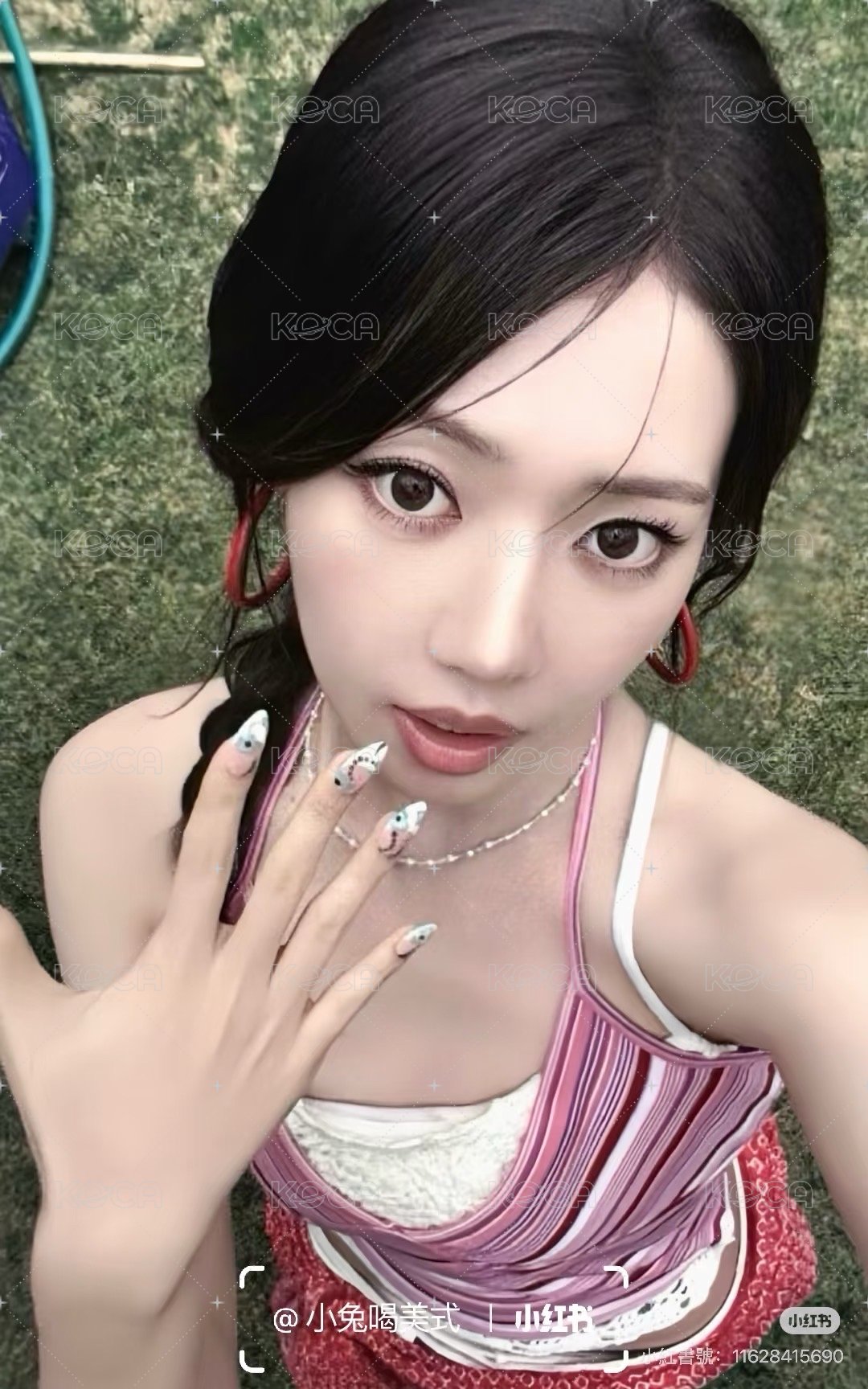 茶