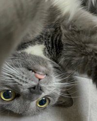 yuuu