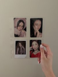 毛茸茸志 ⭐️