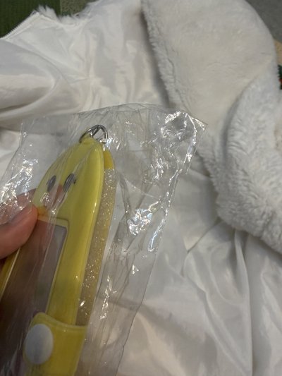 2巡 Lisa 卡套