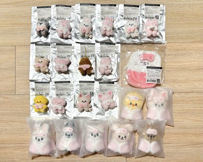 現貨 stray kids 6期飯咪 10cm娃 潦草娃 草莓 娃包 方燦 李糯 彰彬 鉉辰 韓 菲 昇玟 寅