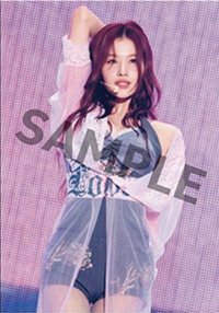 25東蛋 OJ特典 明信片 DVD/藍光