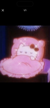 taro
