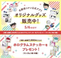 app 2024快閃