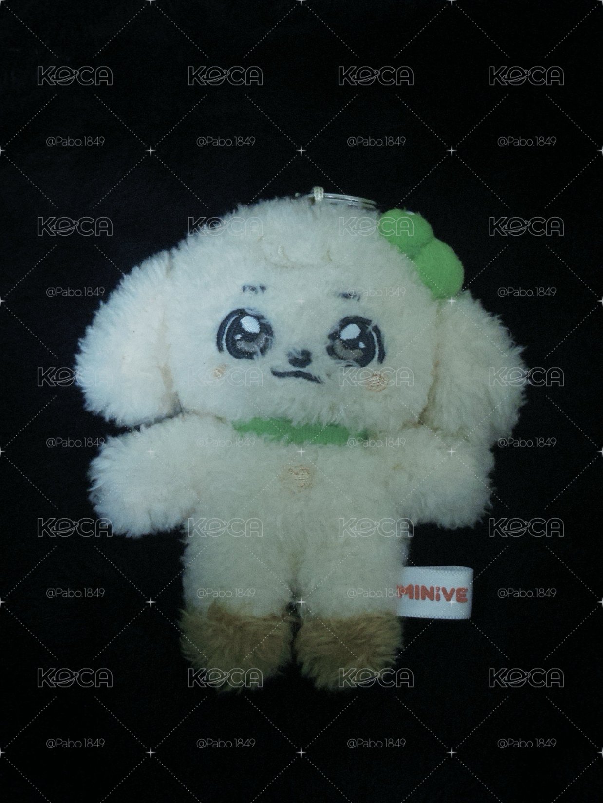 MINIVE SCHOOL 10cm 絨毛吊飾娃（康安幾🐶）