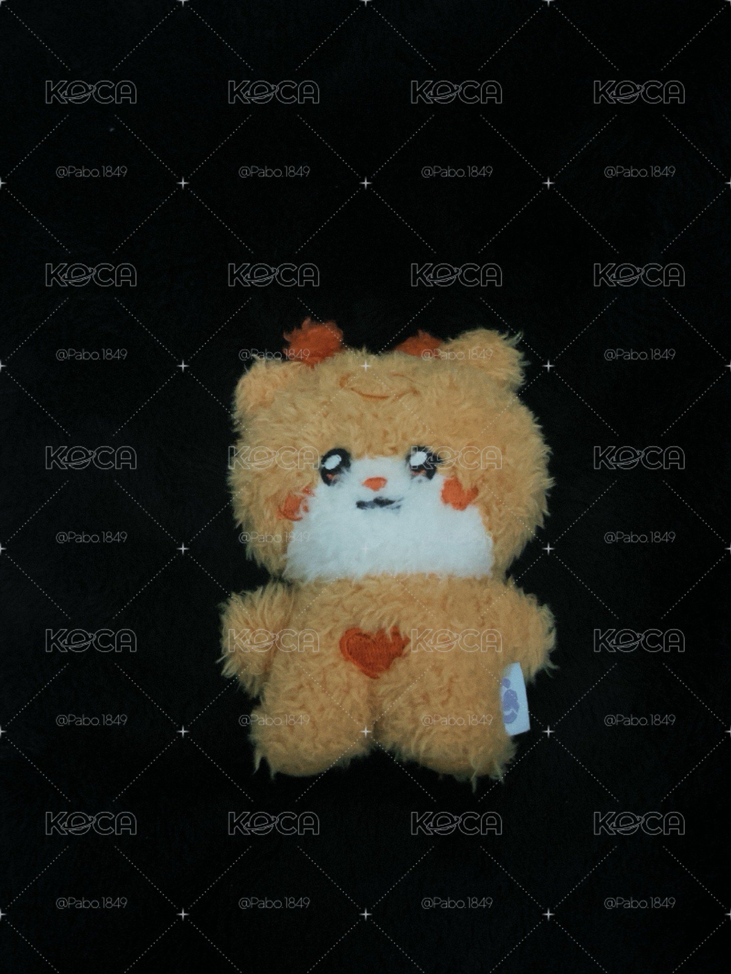 Line Friends 快閃 絨毛吊飾娃（Wonini🐶）