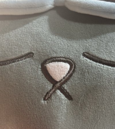 BOYNEXTDOOR TATPUNG趴娃抱枕