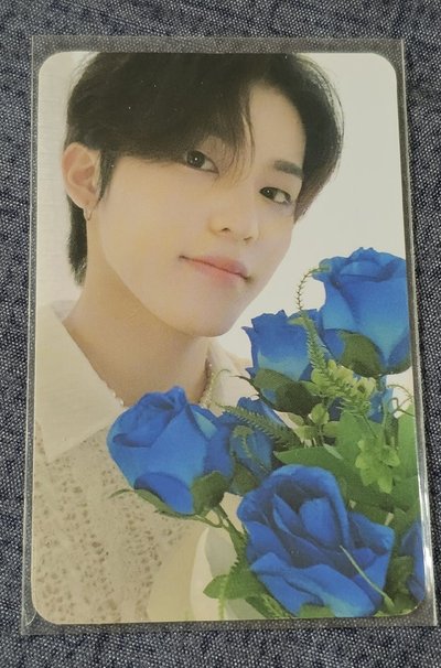 TREASURE in the NIGHT GARDEN PARK JEONGWOO 🐺