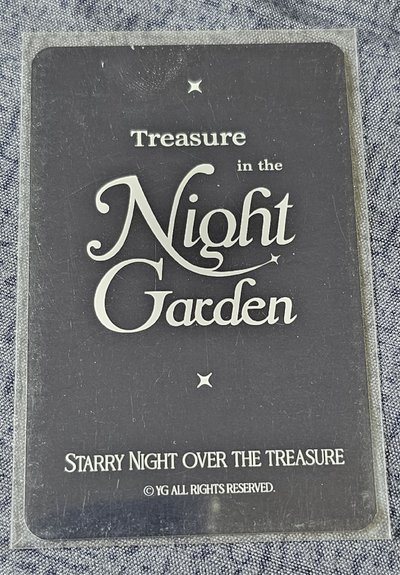 TREASURE in the NIGHT GARDEN PARK JEONGWOO 🐺