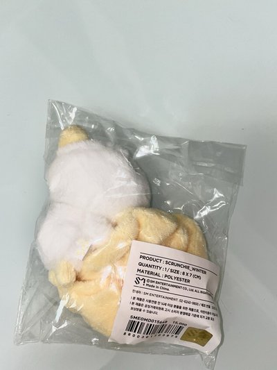 aespa冬winter韓國首爾安可場髮圈🌟全新未拆