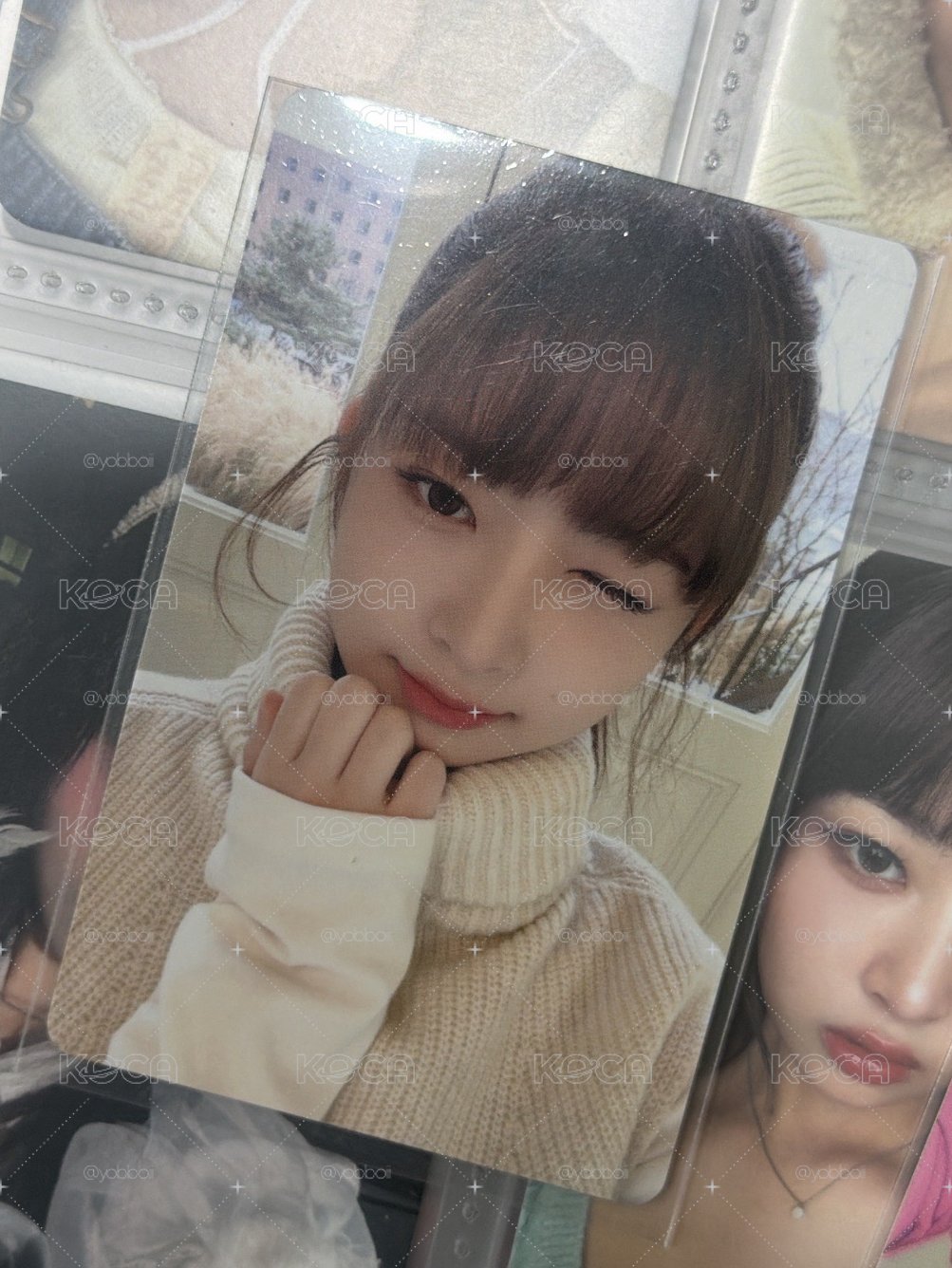 會員怜