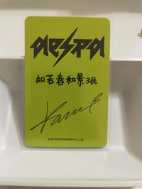 辣妹柚+港簽柚（損）+星河2.0（專用） 