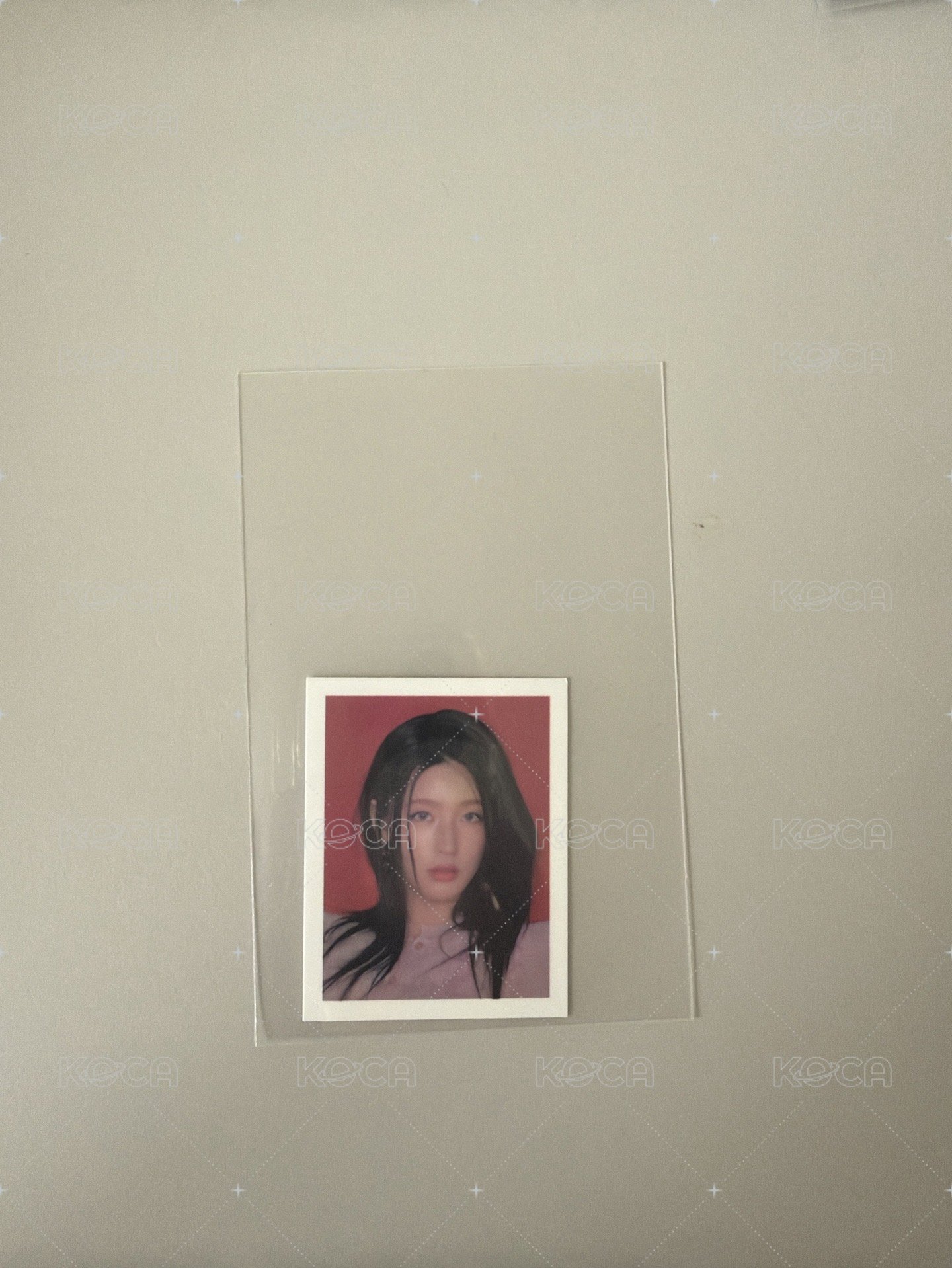 中間證件照