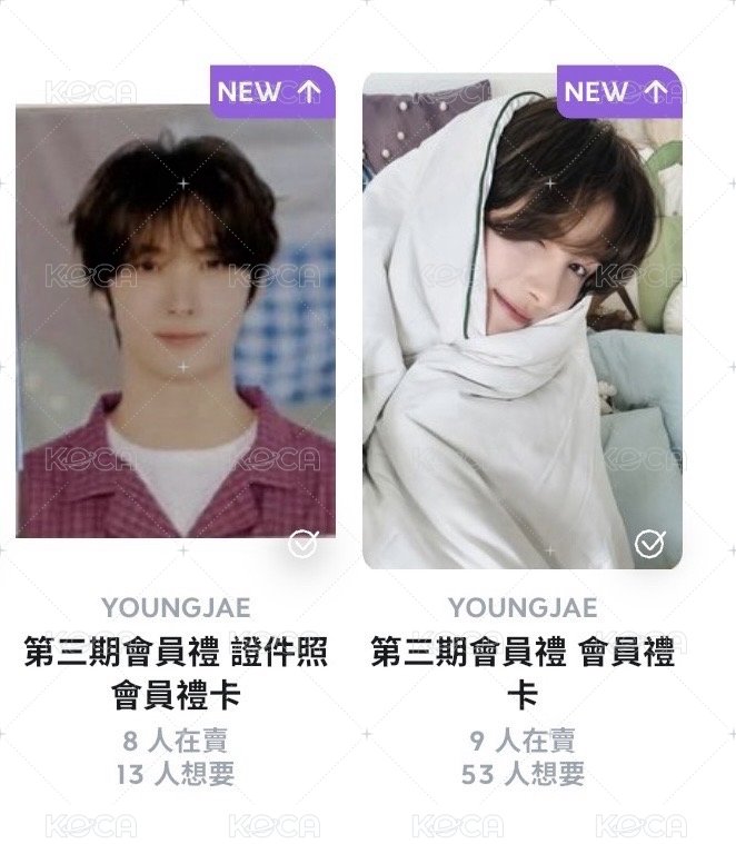 英宰