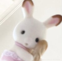 小Y