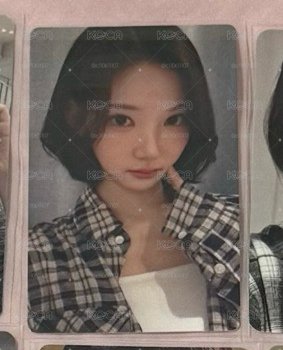 Focus ju 簽售卡 
