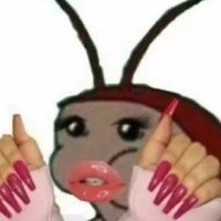 蟑螂小姐