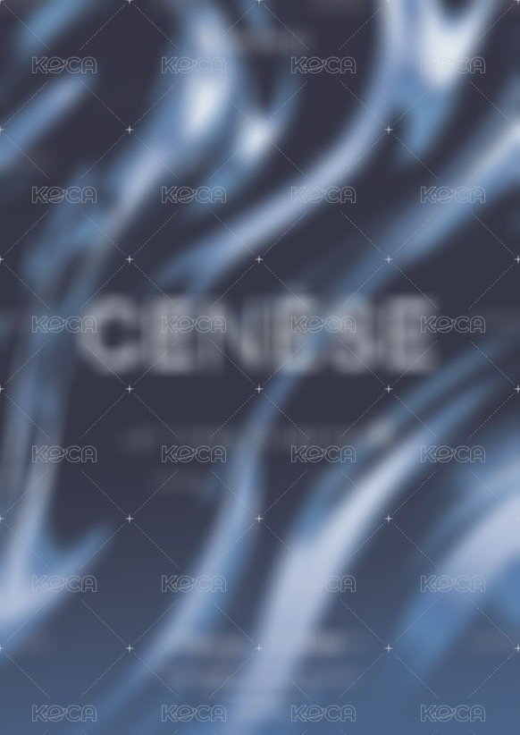 CENESE 隨機卡 穹翼 背面