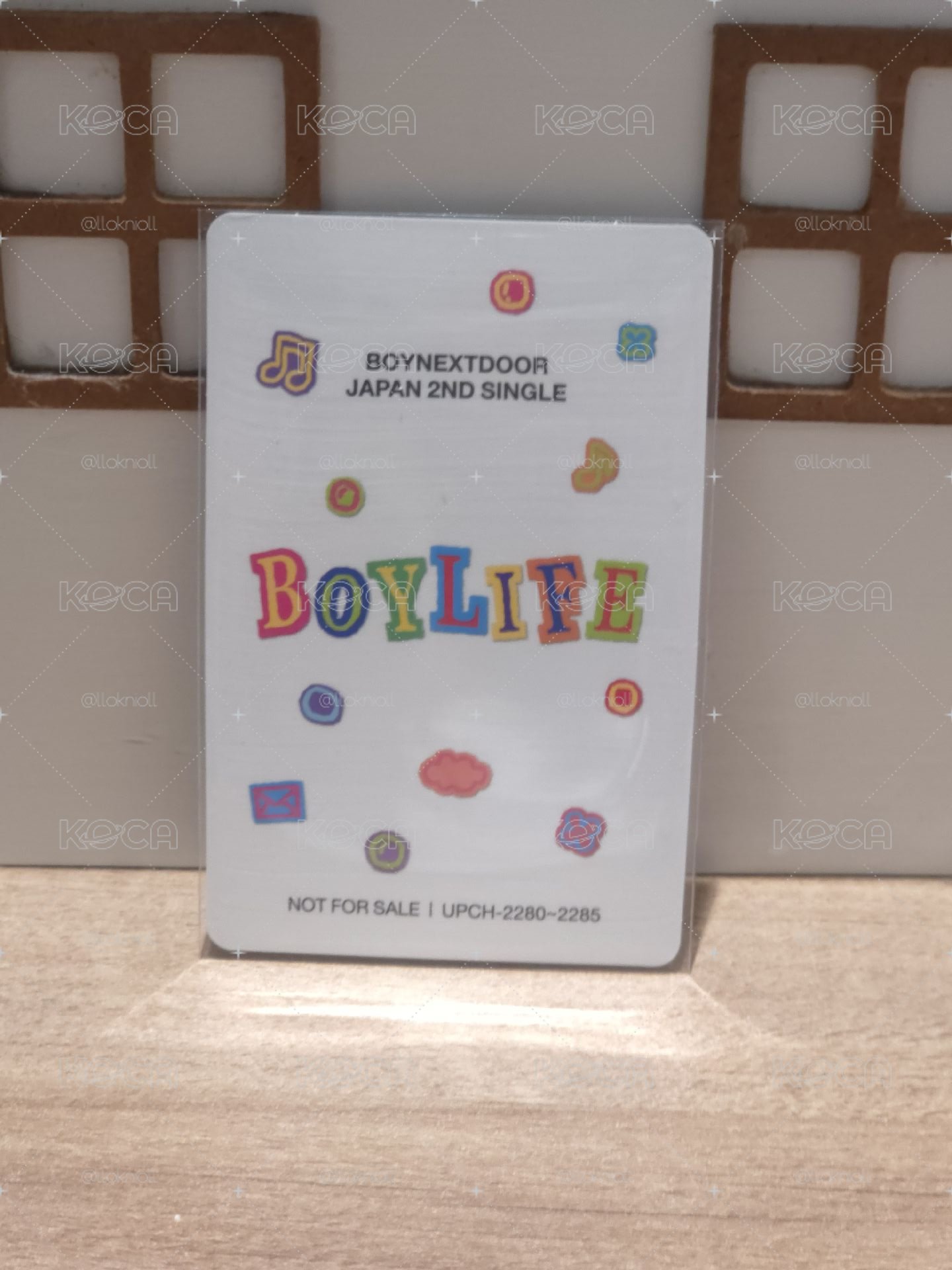 BND BOYLIFE 專輯卡 雙人卡 14