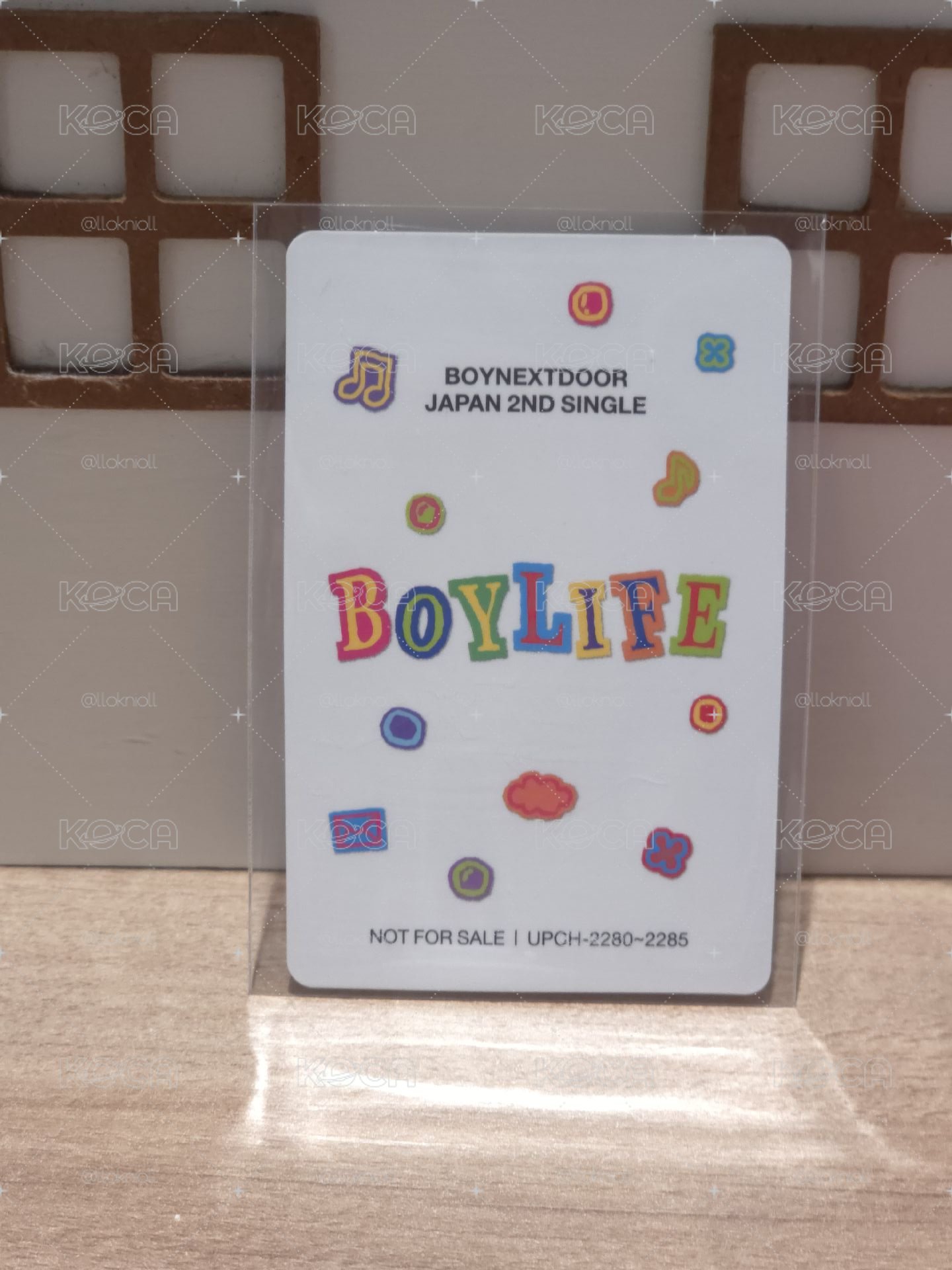 BND BOYLIFE 專輯卡 雙人卡 13