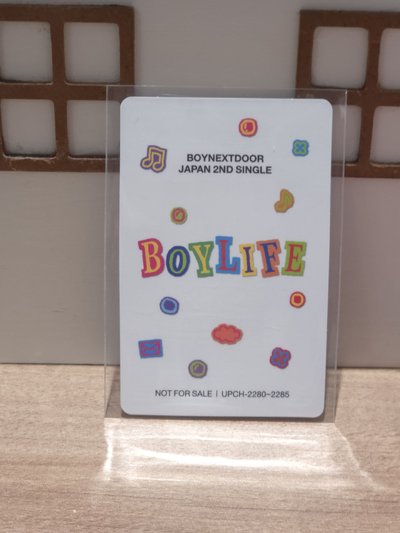BND BOYLIFE 專輯卡 雙人卡 13