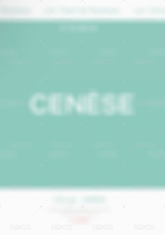 CENESE 隨機卡 綺尋 背面