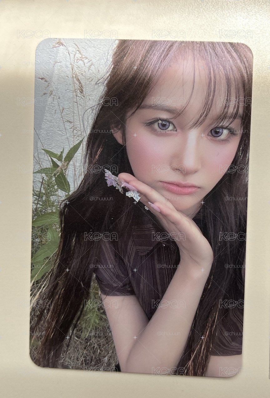 🐬薛卡