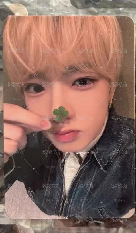 非現 幸運草小卡 饅