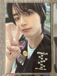 輸家愛人挑染圭
