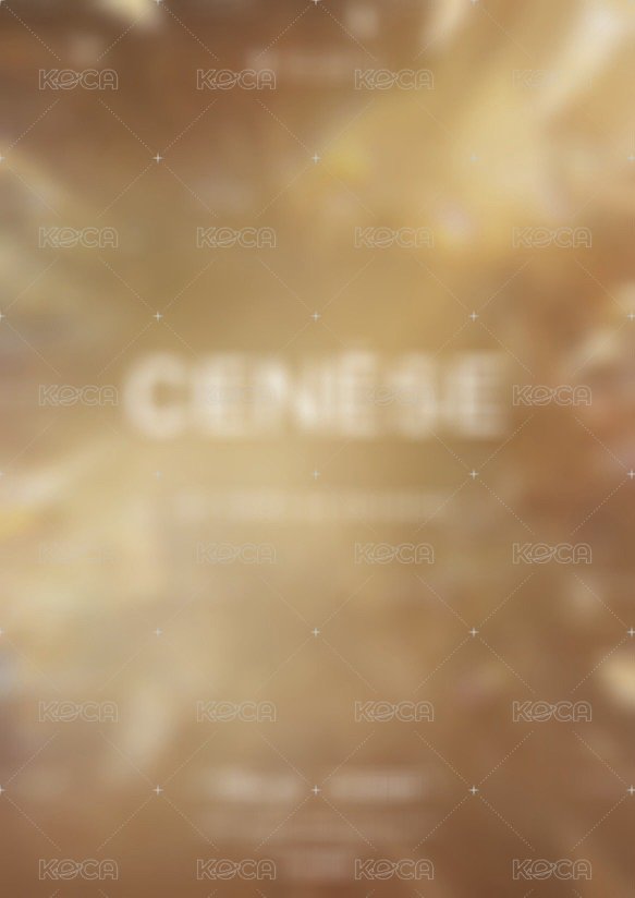 CENESE 隨機卡 聖幀 背面