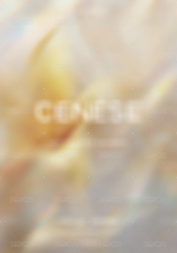 CENESE 隨機卡 幻溟 背面