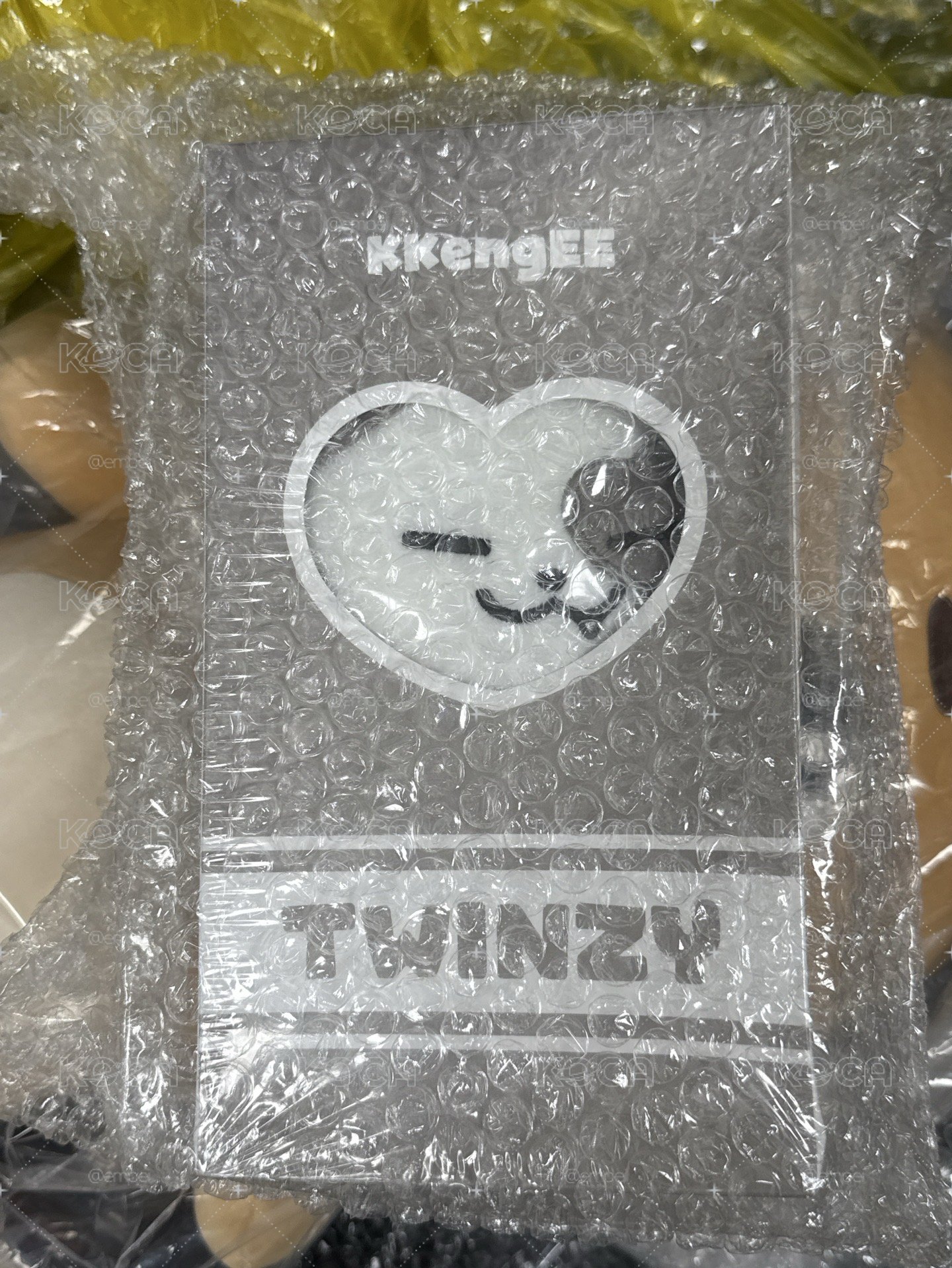 志 娃娃 全新未拆