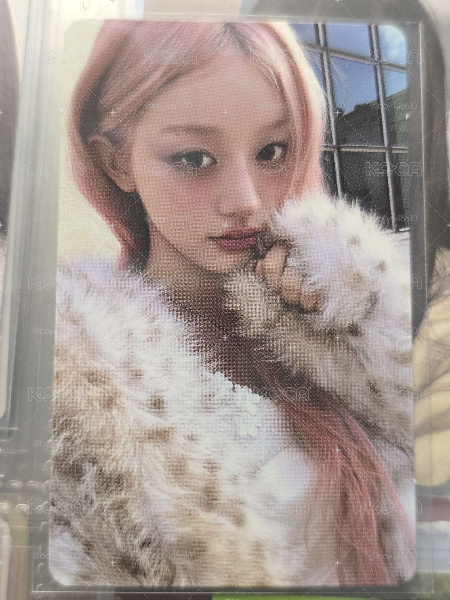 Minju wvs特典