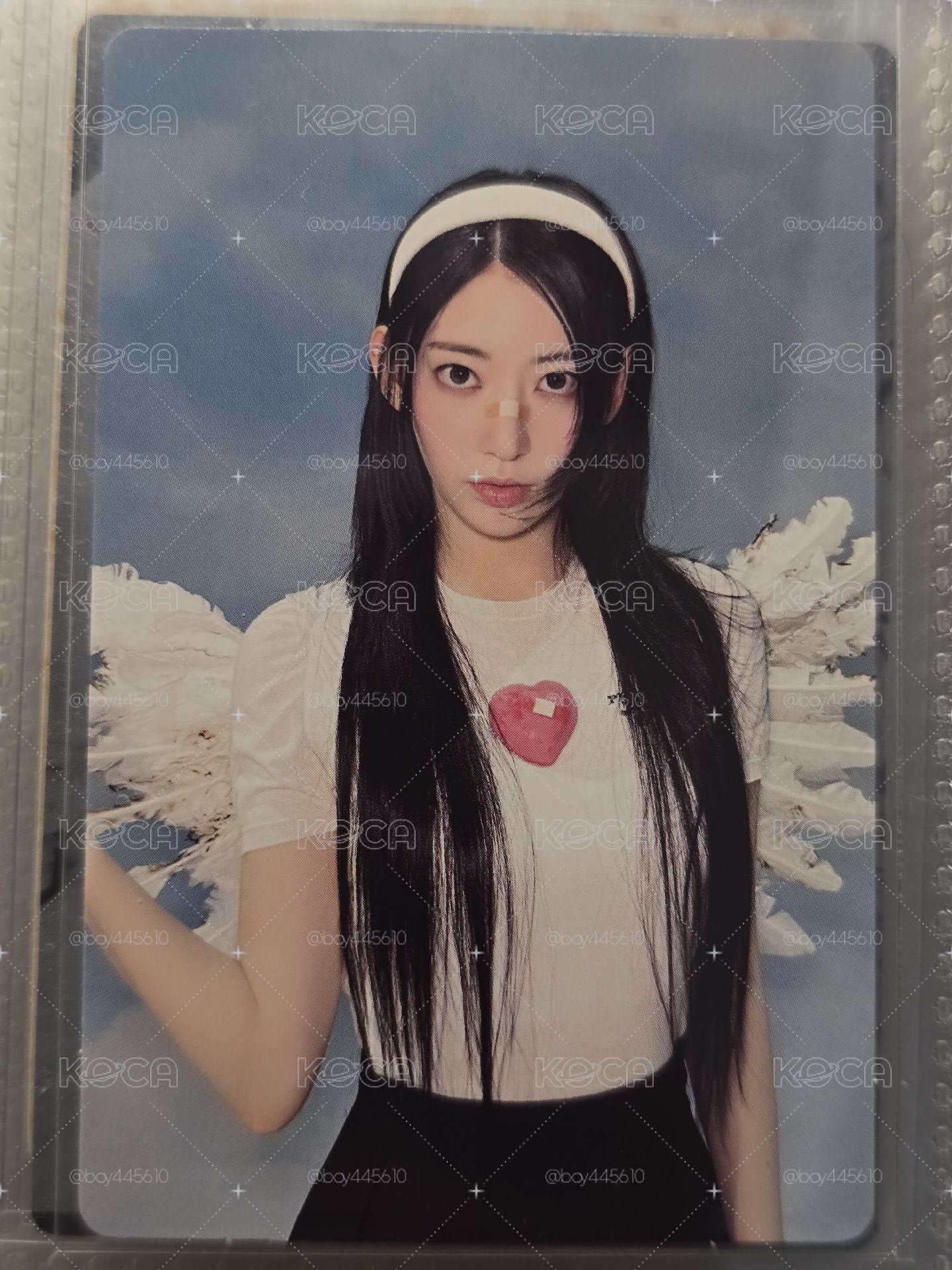 櫻花兩張