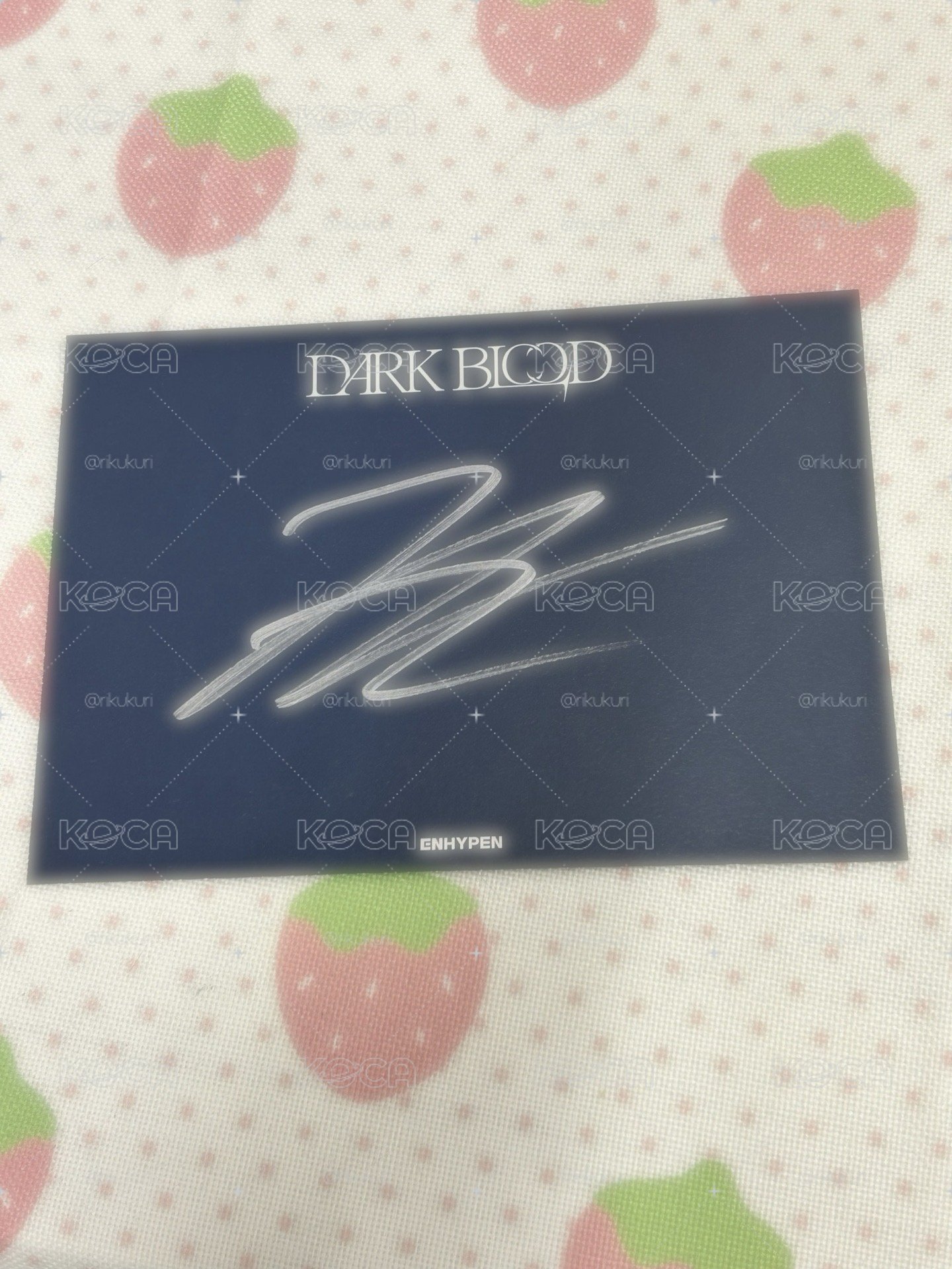 綜咪dark blood親簽☆₊⁺🐈‍⬛