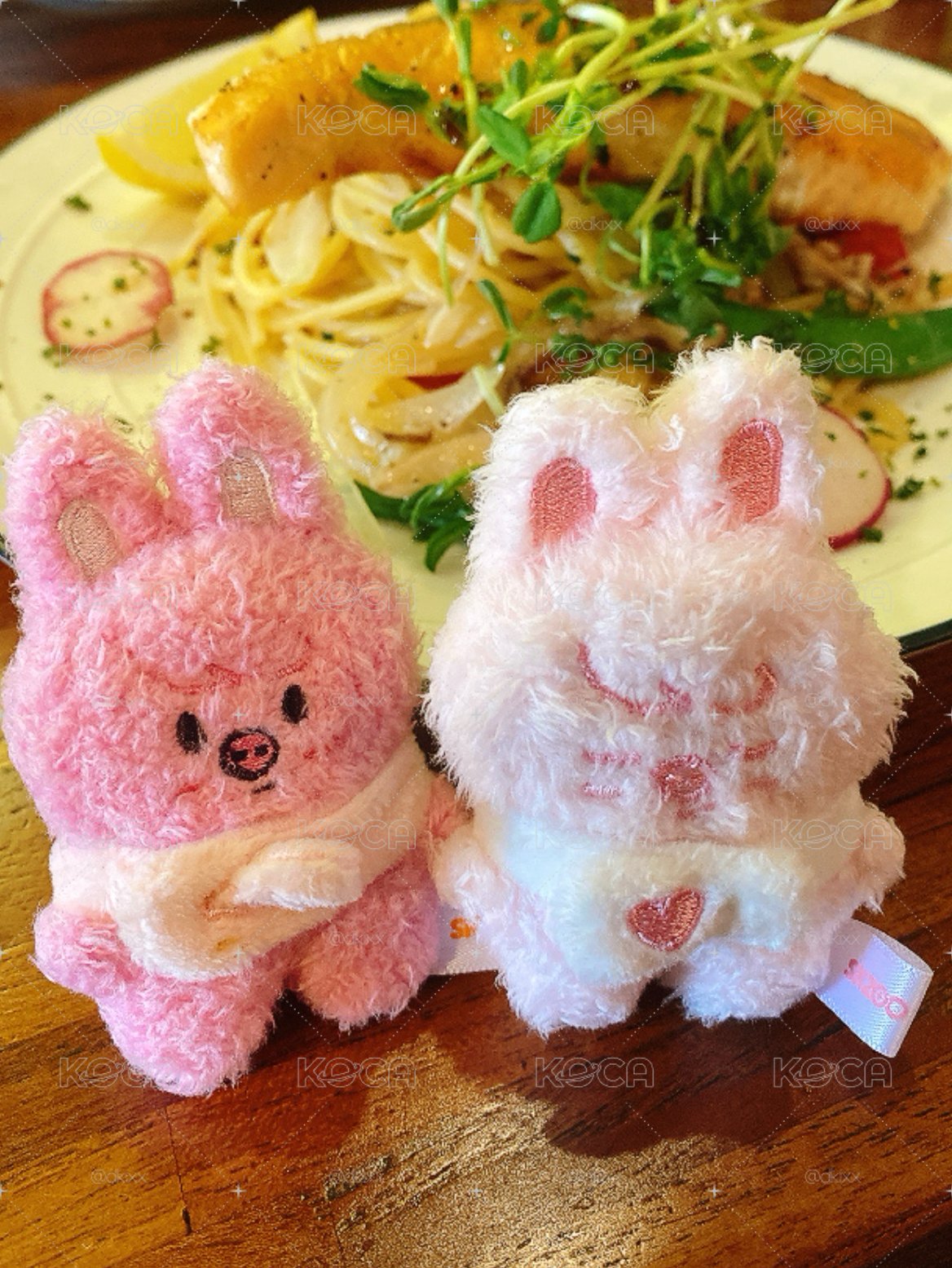 豬兔潦草娃 原皮+草莓（圖片非當事豬）