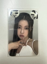 熊貓圭