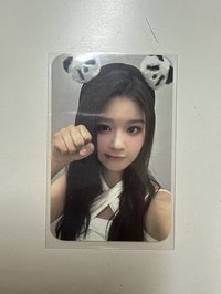熊貓薛