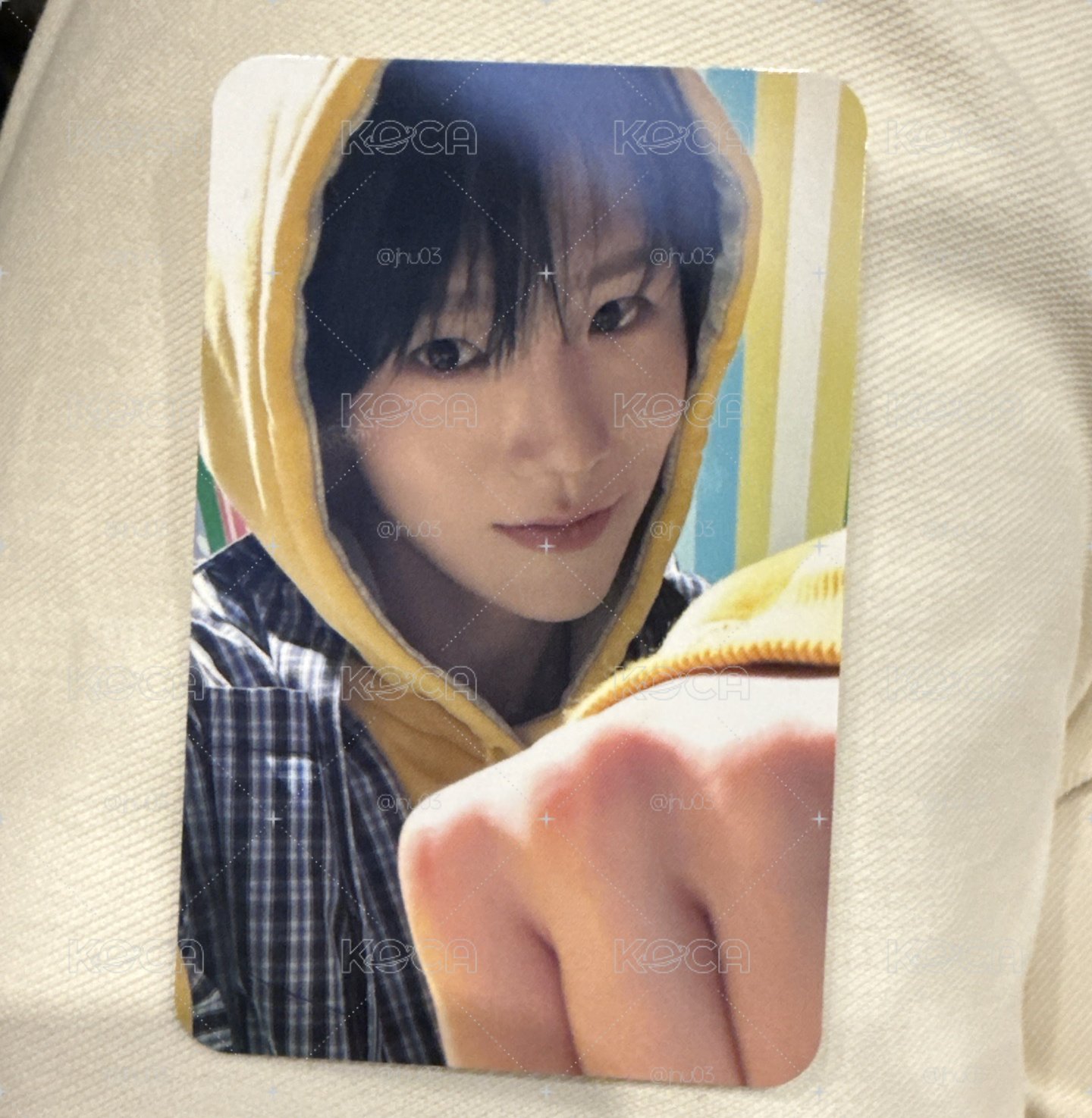 yoidon 樹卡全專